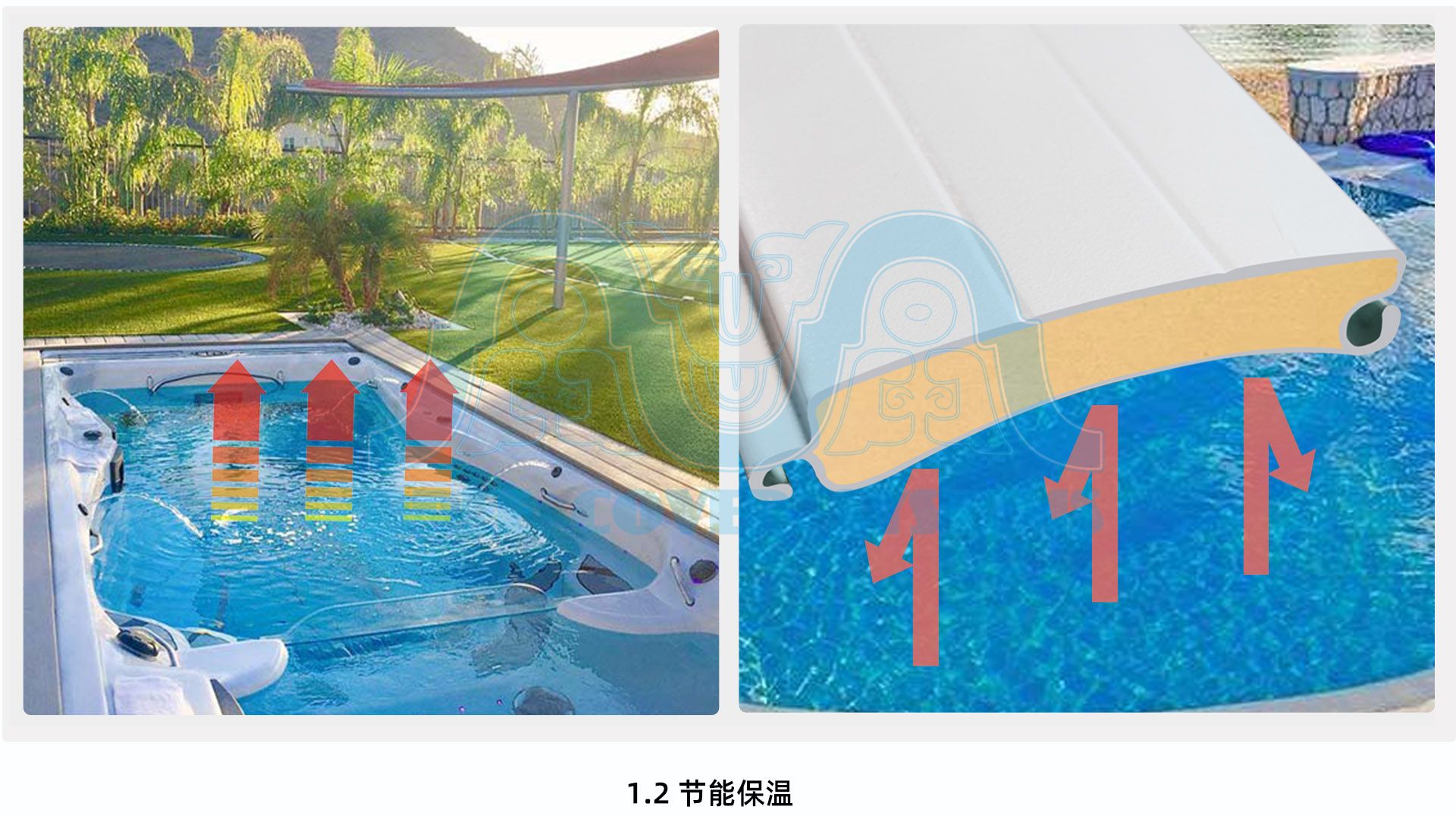 01 Spa 功能02 水印