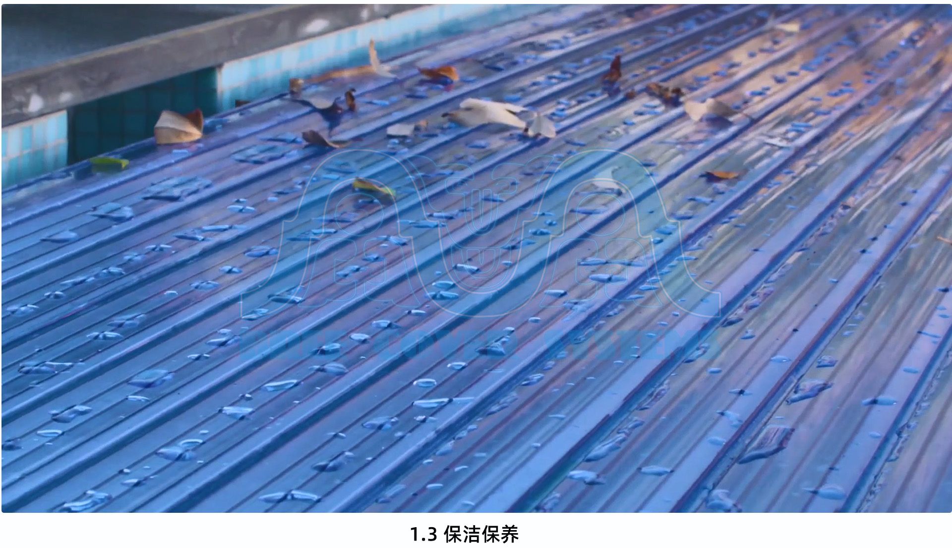 01浮条 功能03 水印