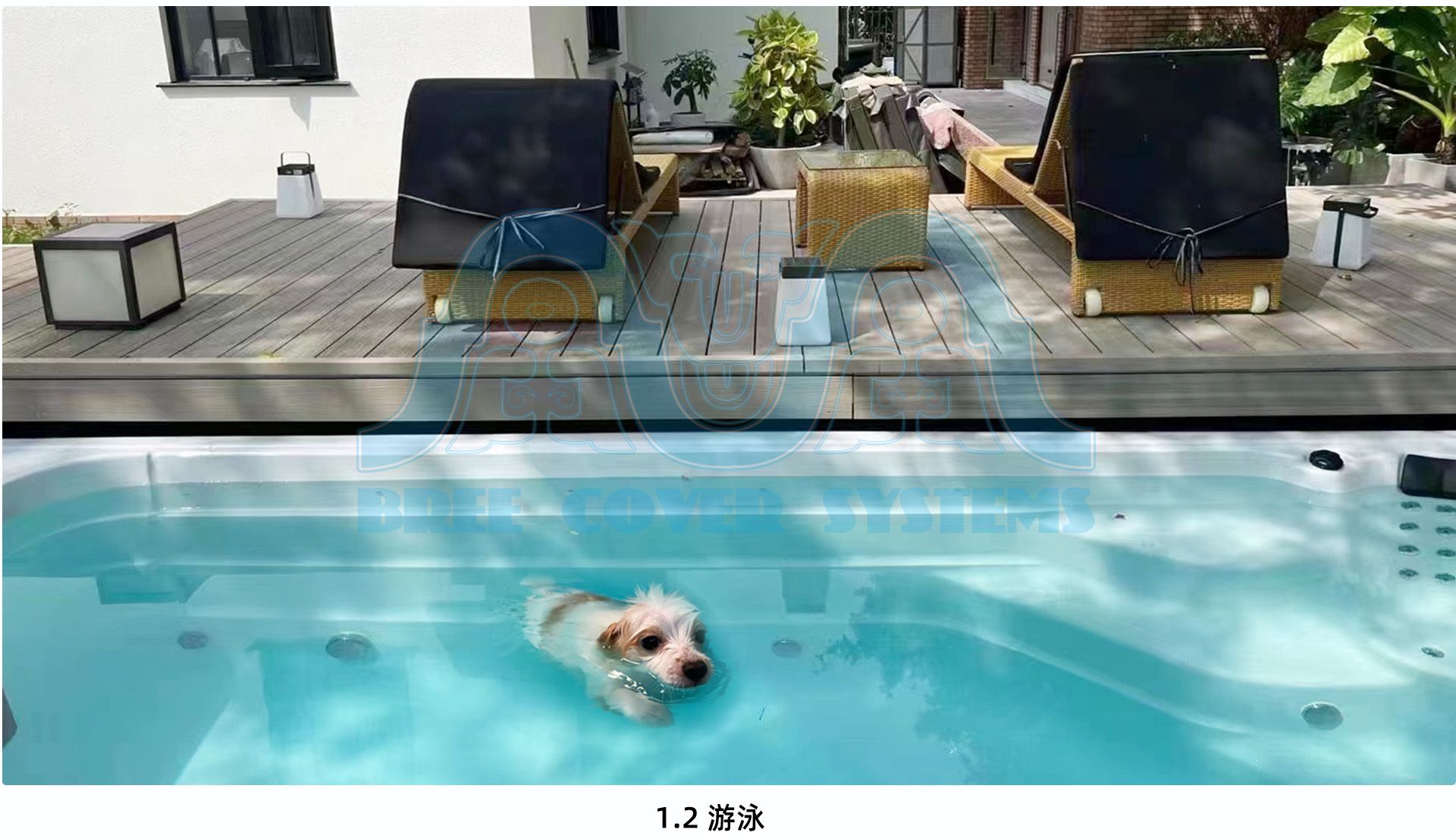 01平移 场景2 水印